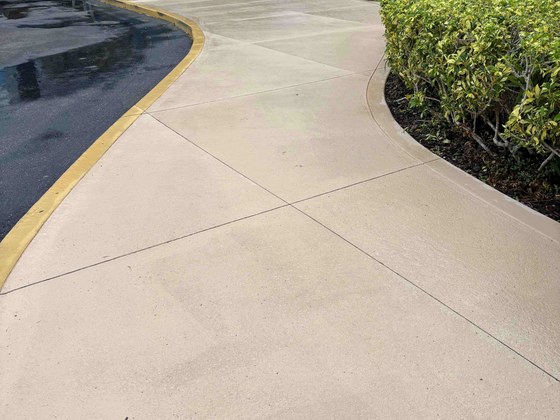 Cleaned curved concrete sidewalk at commercial office building in Feather Sound, Clearwater, FL