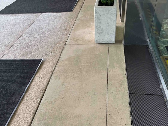 Soft washed entrance walkway with planter at commercial building in Feather Sound, Clearwater, FL