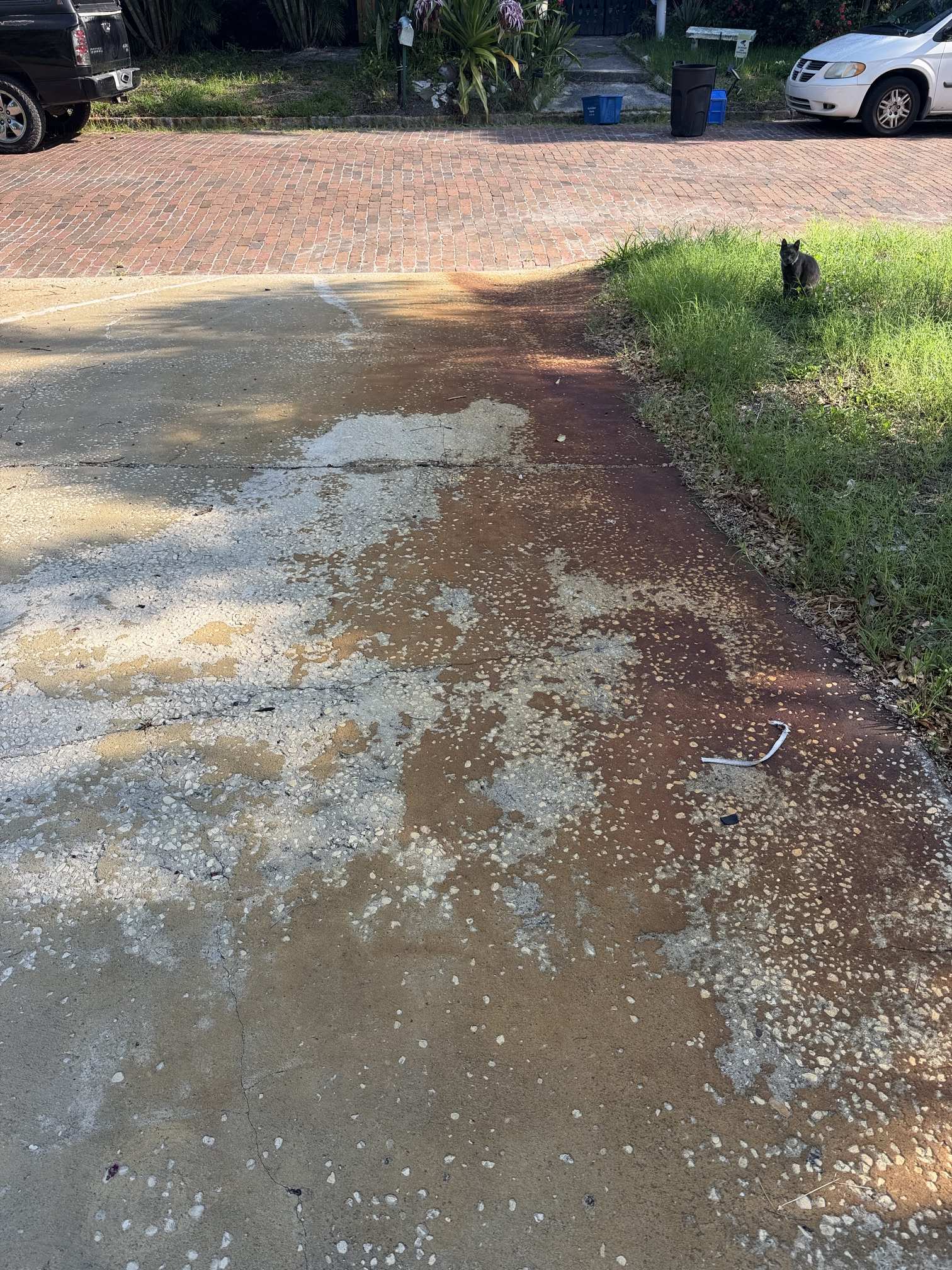 Before photo of driveway rust staining prior to pressure washing in Gulfport, FL