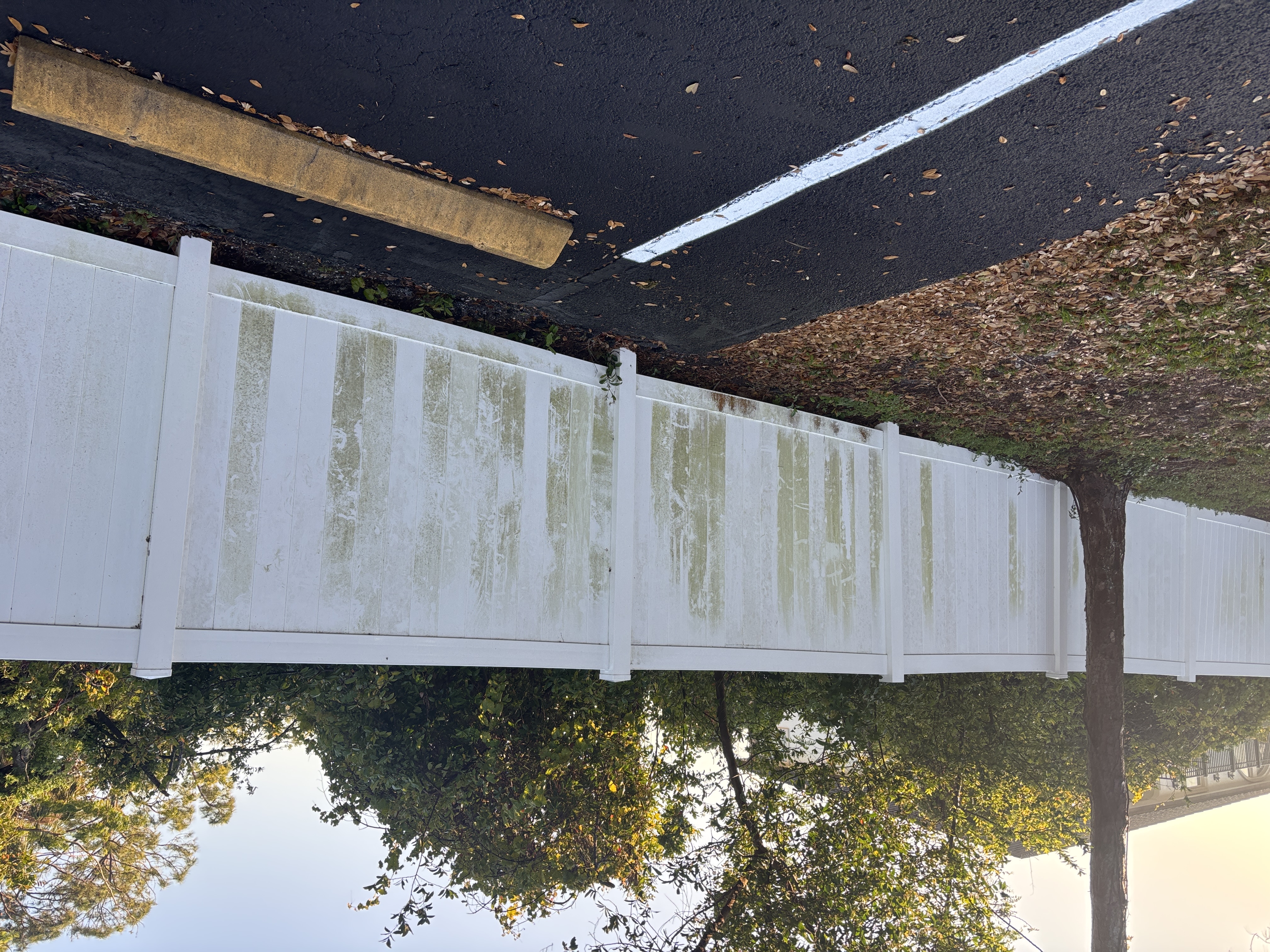 Before photo of fence in Seminole, FL
