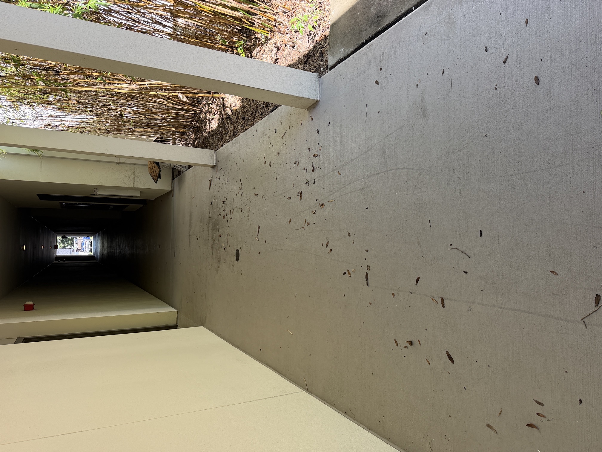 Before photo of a covered walkway with leaf debris and staining at an apartment community in Largo, FL