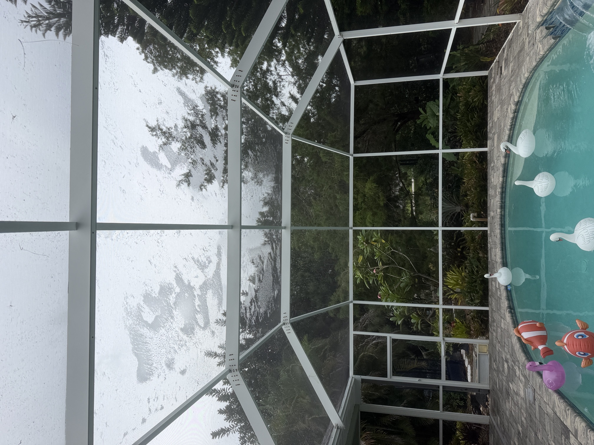 After photo of a soft washed pool cage screen enclosure in Belleair, FL