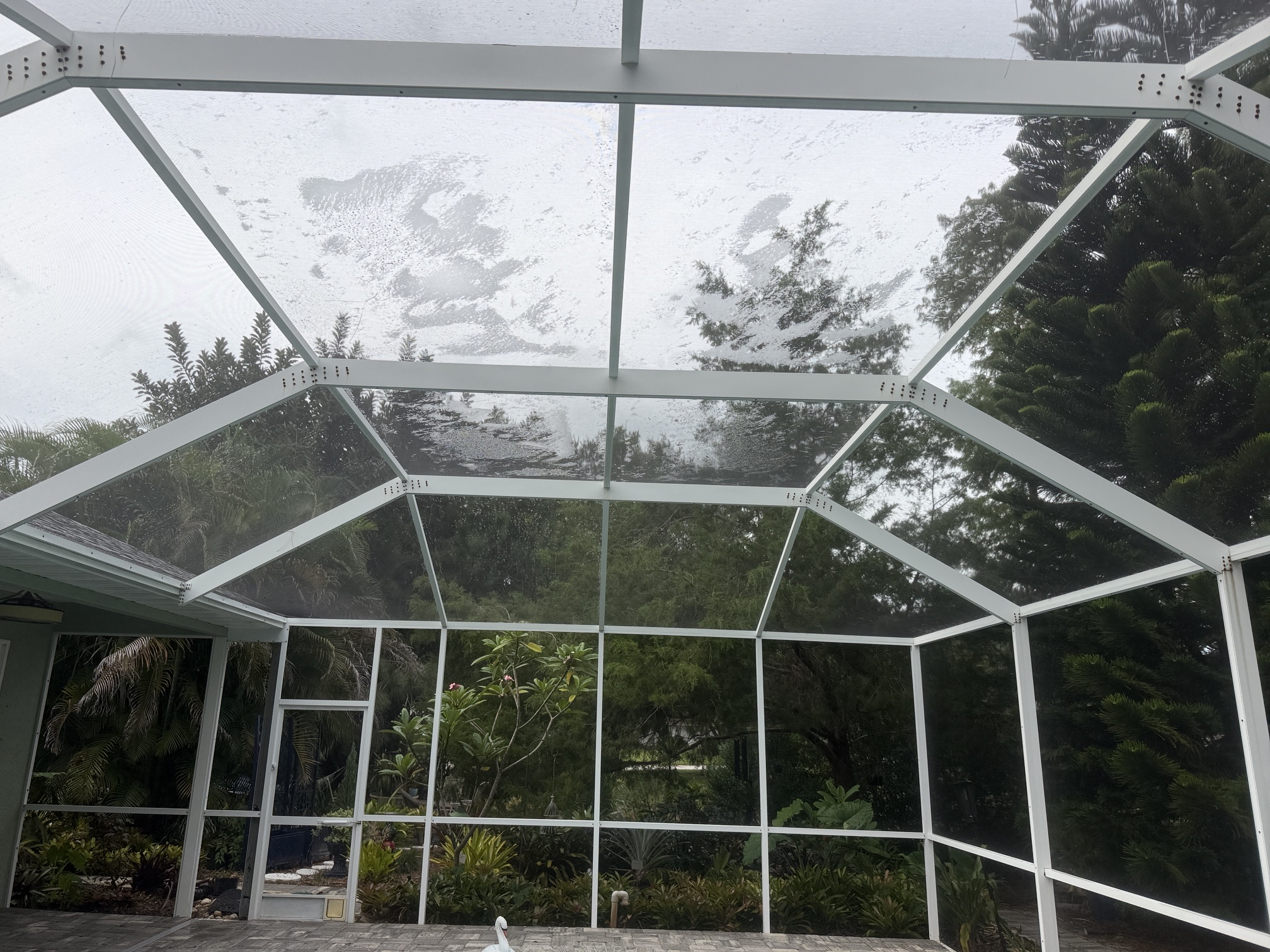 After photo of a clean pool cage screen enclosure near the garden area in Belleair, FL