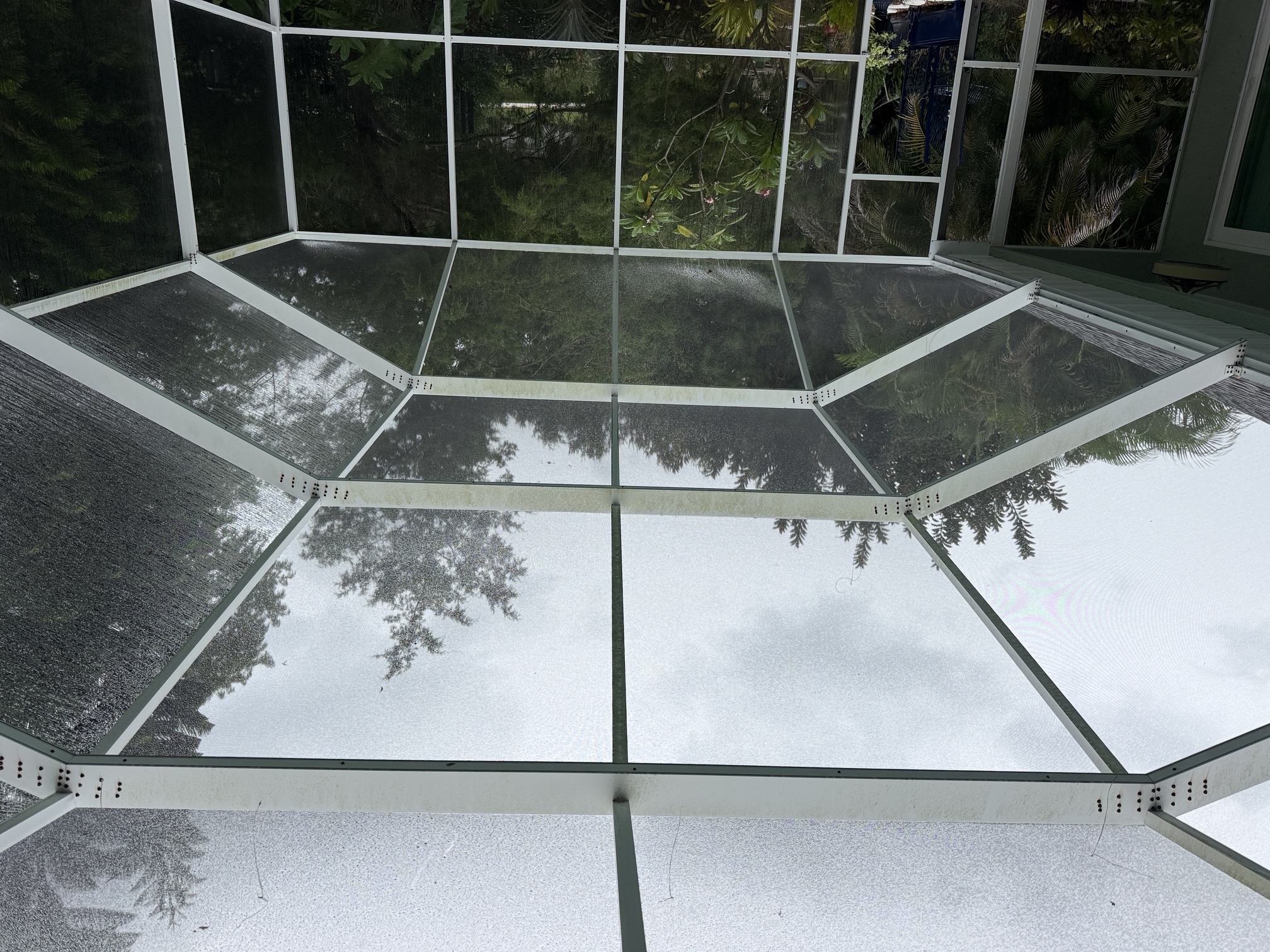 Before photo of a pool cage screen enclosure with algae buildup and green staining on the supports in Belleair, FL