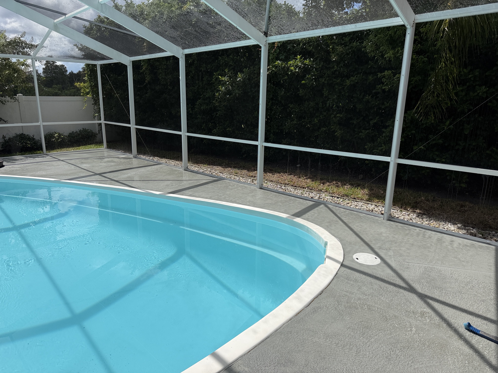 After photo of a cleaned pool cage screen wall and pool deck in Palm Harbor, FL