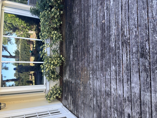 Before photo close-up of wood deck cleaning in Belleair, FL